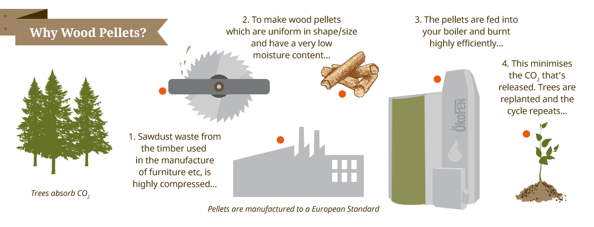 Why Pellematic wood pellet boilers from Organic Energy